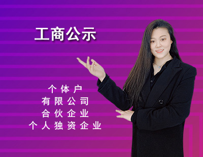 工商公示