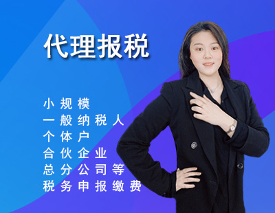 代理报税