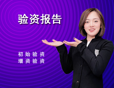 验资报告