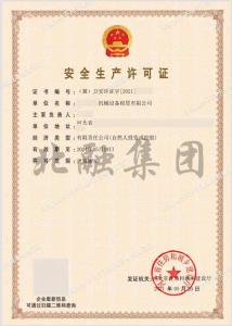 安全生产许可证17（5月22日）