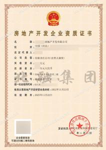 房地产开发二级资质（11.24）