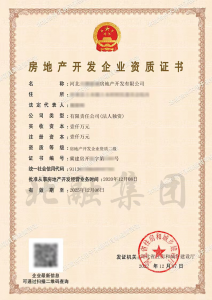 房地产开发二级资质（12.08）