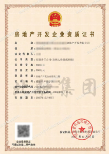 房地产开发二级资质1（12.08）