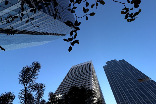 建企猫建筑资质代办