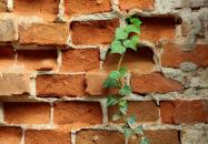 张家口建筑资质办理,装修装饰工程专业承包资质