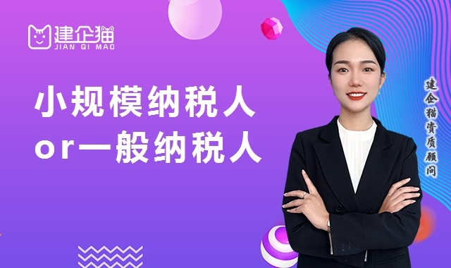 小规模纳税人和一般纳税人