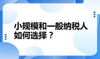 小规模纳税人，一般纳税人