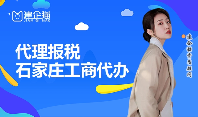 代理报税