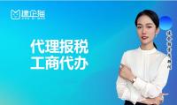 代理报税