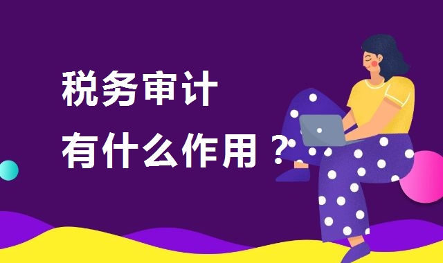 税务审计