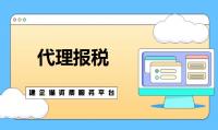 代理报税