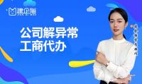公司解异常