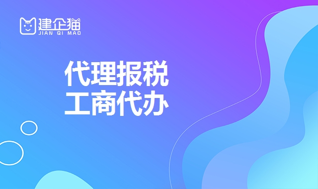 代理报税