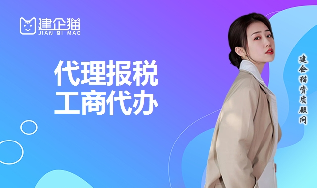 代理报税