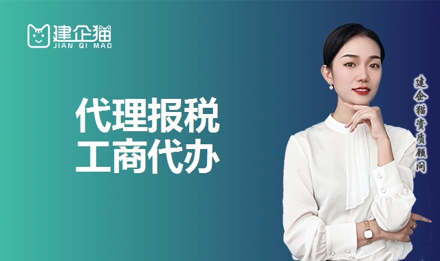 代理报税