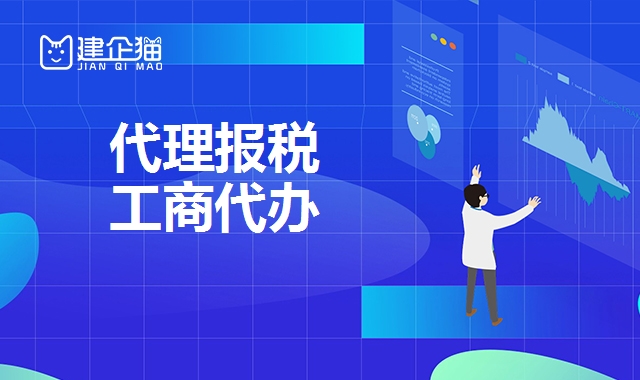 代理报税