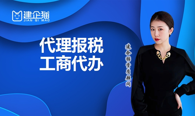 代理报税