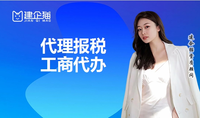 代理报税