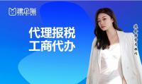 代理报税