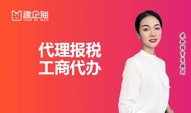 代理报税
