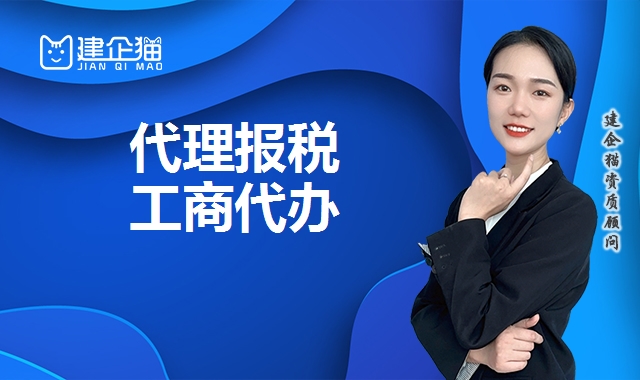 代理报税