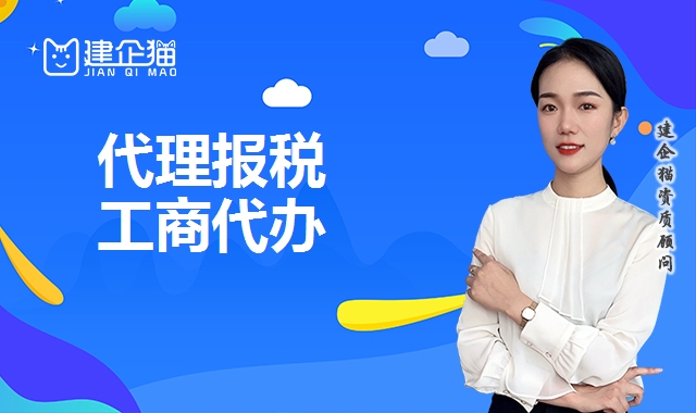 代理报税