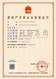 房地产开发资质8（1.19）